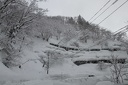 IMG 1799