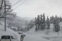IMG 1801