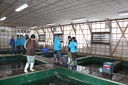 IMG 2479