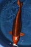 IMG 5655