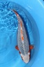 IMG 5656