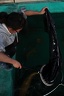 IMG 5668