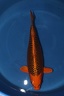 IMG 5685
