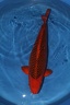 IMG 5695