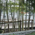 DSCN0032