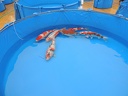 DSCN0072