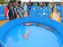 DSCN0073