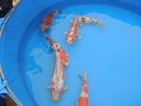 DSCN0075