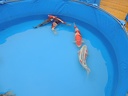 DSCN0082