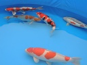 DSCN0083