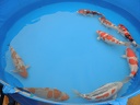 DSCN0085