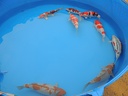 DSCN0086
