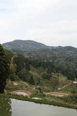 IMG 5720