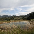 IMG 5743