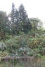 IMG 1443