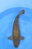 IMG 1563