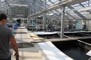 IMG 1592