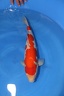 IMG 1745