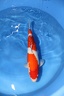IMG 1751