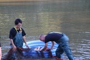 IMG 7319