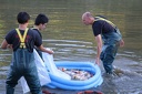 IMG 7326