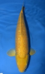 DSC 4859
