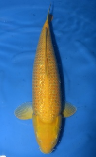 DSC 4859