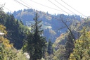 CJ5A0723