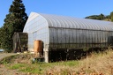 CJ5A0768