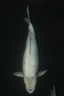 IMG 7434