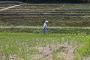 CJ5A8976