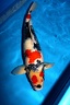 showa blue shadow 58 cm
