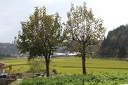 IMG 8673