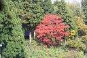 IMG 8685
