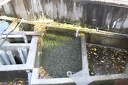 IMG 8706