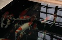 IMG 8941