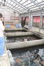 IMG 9014