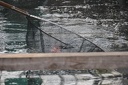 IMG 4755