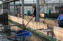 IMG 4756