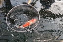 IMG 4757