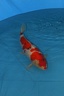 IMG 4761