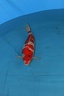 IMG 4763