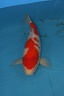 IMG 4791