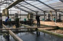 IMG 4793