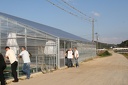 IMG 4844