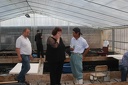 IMG 5267