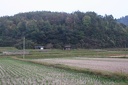 IMG 5390