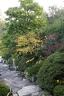 IMG 5421