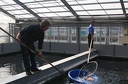 IMG 5717