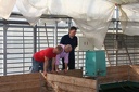 IMG 5946